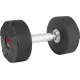 Amila Aλτήρας Στρογγυλός PU Series - 12.50Kg - 84650 Amila Aλτήρας Στρογγυλός PU Series - 12.50Kg - 84650