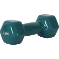 Amila Αλτηράκι Βινυλίου 2.5Kg - 90504