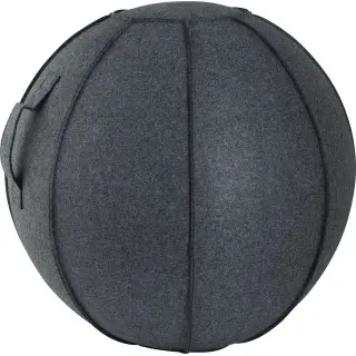 Amila Κάλυμμα για Μπάλα Γυμναστικής GYMBALL 65cm - 95886